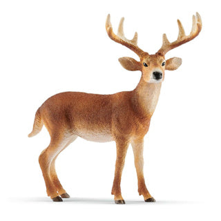 Schleich Wild Life – Weißwedelhirsch – Spielfigur – Kinderspielzeug für Jungen und Mädchen – 3 bis 8 Jahre – 14818