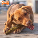 Nylabone Extreme masticato gusto per toro intrecciato