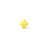 Earth -bewertetes Fetch -Spielzeuggummi