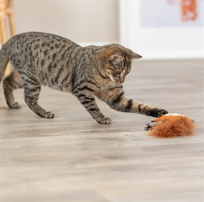 Trixie Squirrel Plüsch mit Federschwanz mit Katzenminze