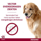 Elanco Advantix Spot auf
