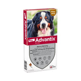 Elanco Advantix Spot auf