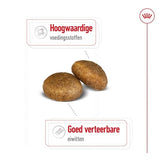 Royal Canin Maxi Erwachsener