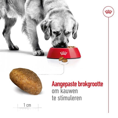 Royal Canin Kanin Maxi Erwuessene