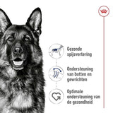 Royal Canin Maxi Erwachsener