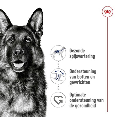 Royal Canin Kanin Maxi Erwuessene