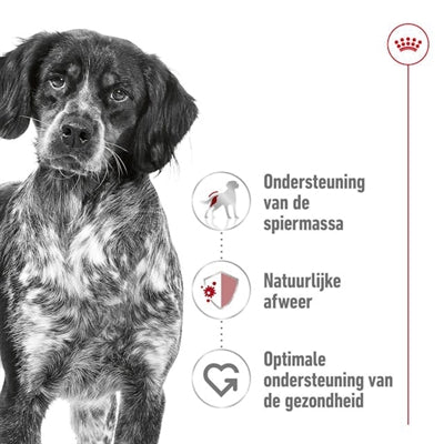 Royal Canin Canin Medium Erwuessene