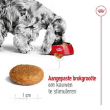 Royal Canin Canin Medium Erwuessene