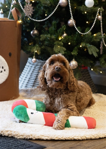 Kupid Comet Carrie Candy Cane Božična palica Pluche