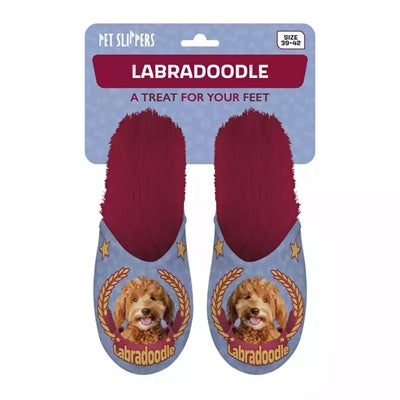 Slipper Labradoodle lila rot