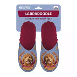 Slipper Labradoodle lila rot