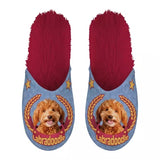 Slipper Labradoodle lila rot