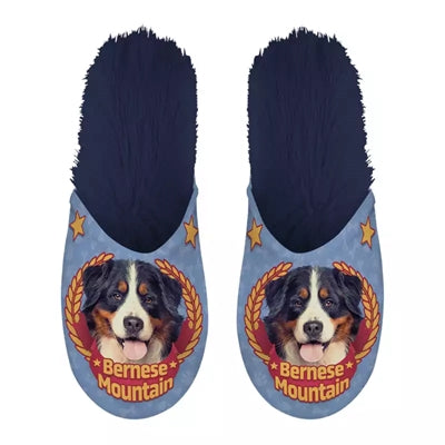 Slipper Berner Sennenhund dunkelblau