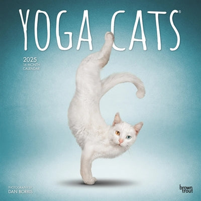 kalender yoga cats 2025