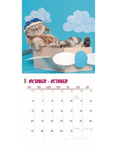 Kalender funniest cats 2025