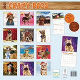 Calendario Crazy Dogs 2025