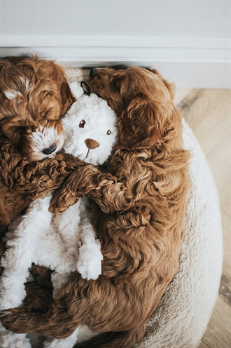 Ma crème en peluche de bière de chien