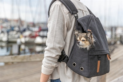 Trixie Be Nordic Dog Bag Rucksack Björn Schwarz