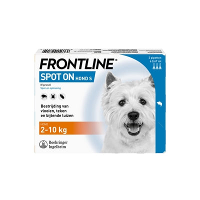 Der Hund an vorderster Front ist genau richtig