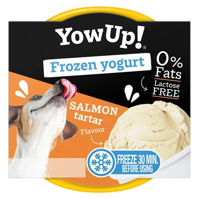 Juhu! Lachstatar mit gefrorenem Joghurt