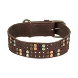 Trixie Hundehalsband Niete rustikal Fettleder dunkelbraun
