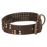 Trixie Hundehalsband Niete rustikal Fettleder dunkelbraun