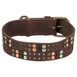 Trixie Hundehalsband Niete rustikal Fettleder dunkelbraun