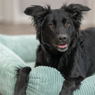 Trixie Hundebett Jonna Vital, gerippter Stoff, Salbeigrün