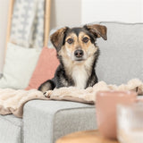 Trixie Hundedecke Elli Sand