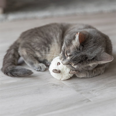 Trixie Bär mit Katzenminze-Plüsch sortiert