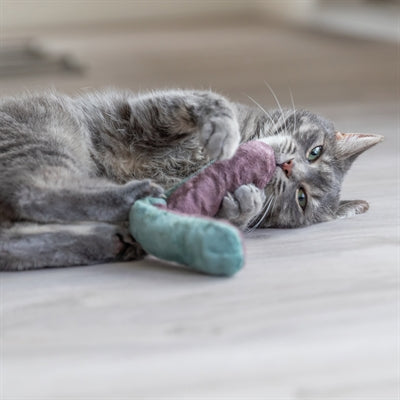 Trixie Spielkissenrolle mit Katzenminze sortiert