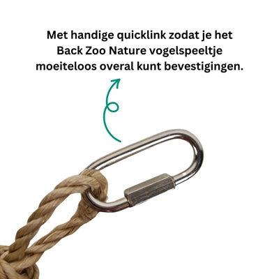 Back zoo nature palm star balls