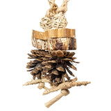 Back zoo nature forest ring