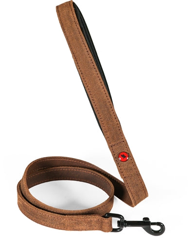 Zolux expert hondenriem premium leer neopreen bruin