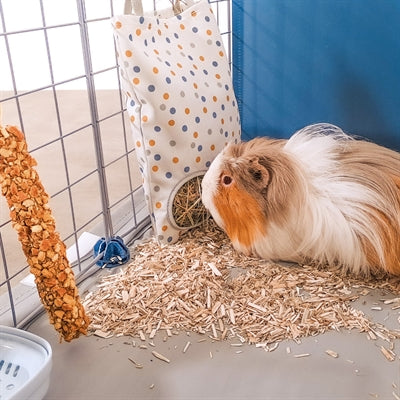 Zolux hooizak cosy gestipt wit