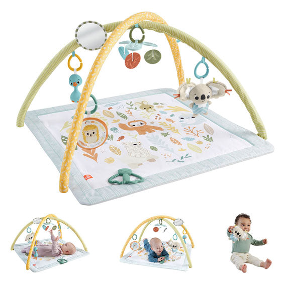 Fisher Price sent simplement babygym