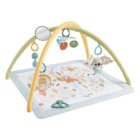 Fisher Price sent simplement babygym