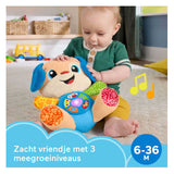 Lernspaßiges, mitwachsendes Welpenspielzeug von Fisher-Price – musikalisches Kuscheltier