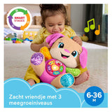 Lernspaßiges, mitwachsendes Schwesterspielzeug von Fisher-Price – rosa musikalisches Kuscheltier