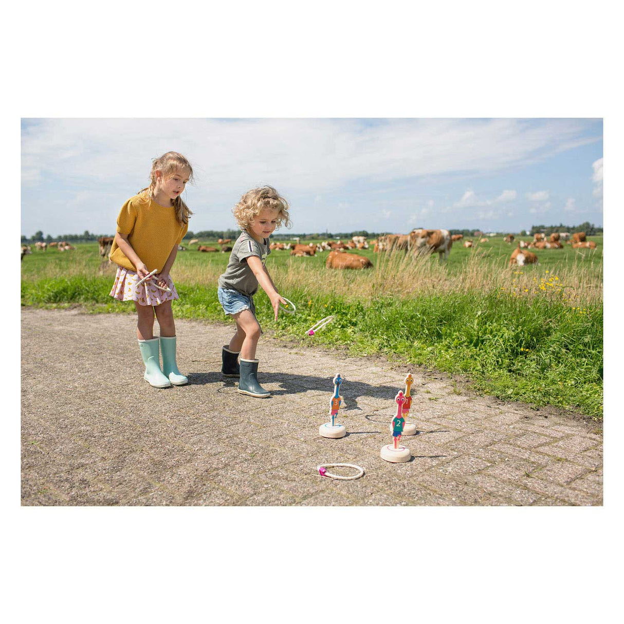 BS Toys Ringwerpen Vogels Holzwurfspiel