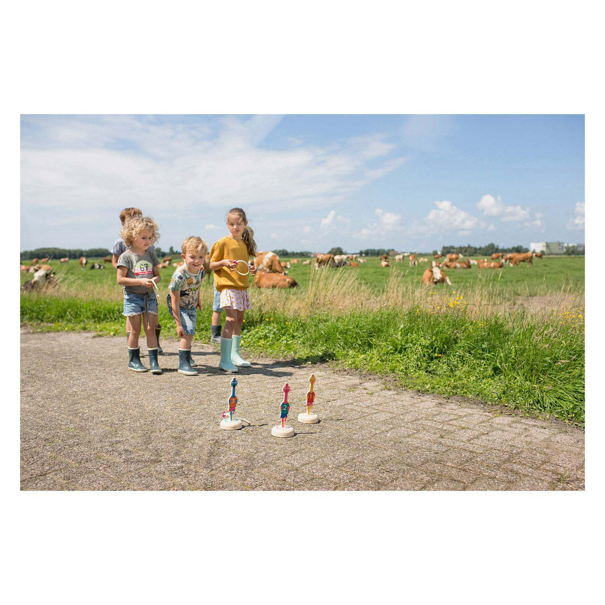 BS Toys Ringwerpen Vogels Wood Throwing Game