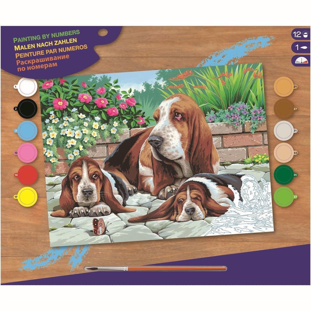 Grundlegende Malen-nach-Zahlen-Basset-Hunde