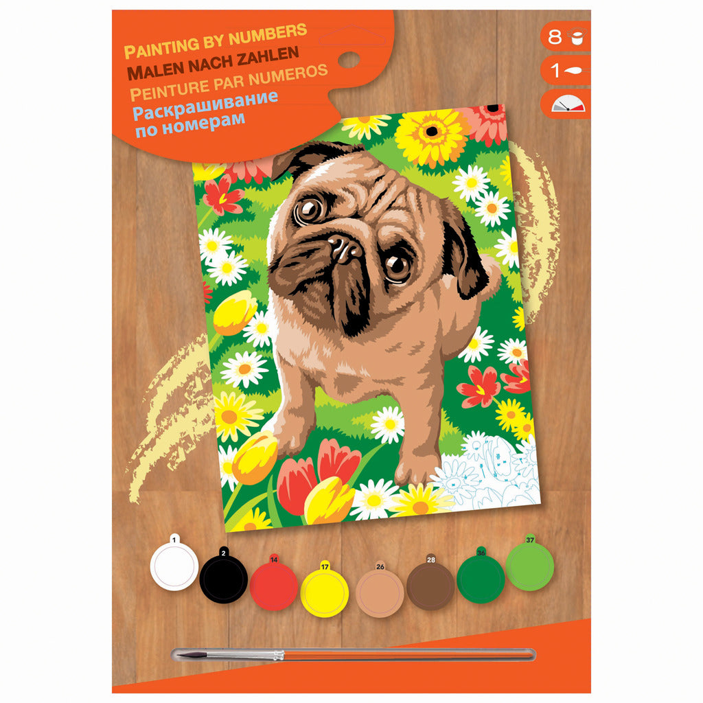 Basic schilderen op nummer pug dog