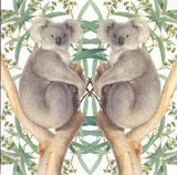 Kaart+envelop koalaberen. 16x16 cm