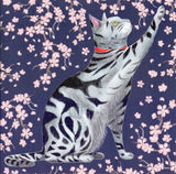 Kaart+envelop. sakura poes. 16x16 cm