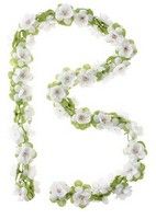 Bazilika vrtnice Garland Bloemstreng White