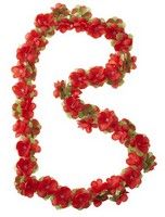 Basil Flower Garland - Flower Streng - Rosso