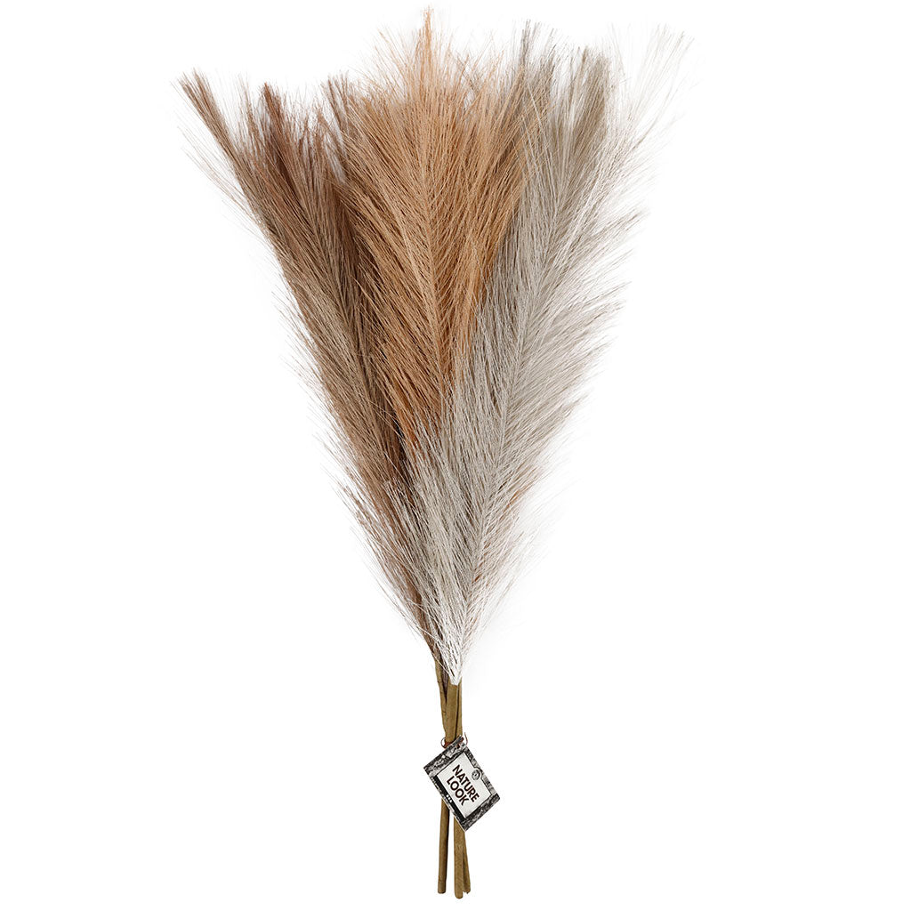 Creativ Company Pampasgras Beige Braun Gray, 3st.