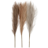 Creativ Company Pampasgras Beige Braun Gray, 3st.