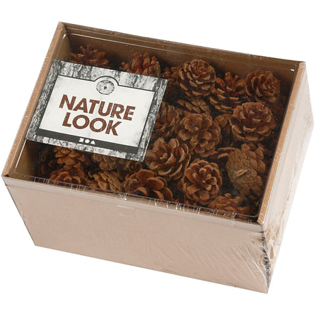 Creativ Company Tannenzapfen, D 40 mm, ca. 60 Stück, 500 g 1 Karton